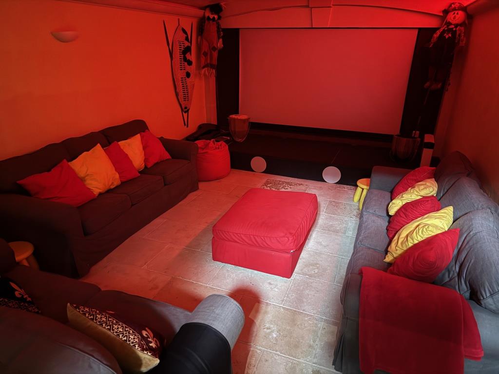 Lot: 43566 - COUNTRY ESTATE COMPRISING 5 BEDROOM MANOR HOUSE, WEDDING VENUE WITH 7 BEDROOM HOUSE, 6 ECO LODGES, 5 COTTAGES, 2 TENNIS COURTS, WORKSHOP AND ANCILLARY ACCOMMODATION - SET IN OVER 20 ACRES - Froggies-entertainment room